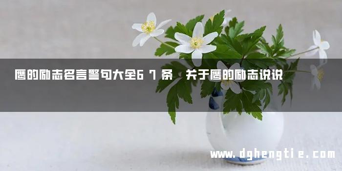 鹰的励志名言警句大全67条 关于鹰的励志说说